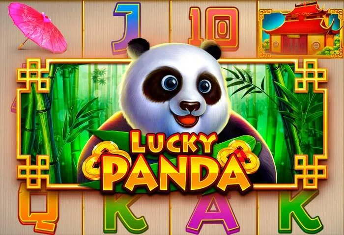 Official Gomblingo Casino app download for mobile gaming